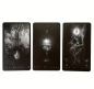 Preview: The Black Tarot by Victoria Iva – Mystisches Tarot-Deck in Schwarz-Weiß